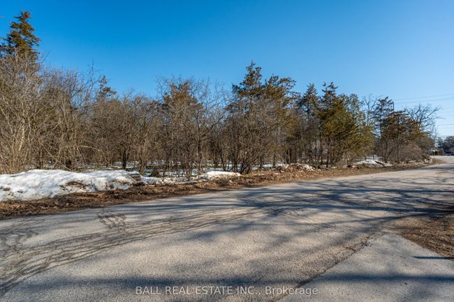 0 Snake Point Rd, Home with 0 bedrooms, 0 bathrooms and null parking in Bobcaygeon ON | Image 7