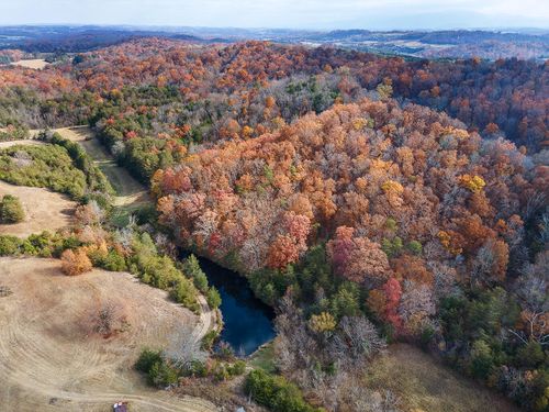 Tbd Sinking Creek Rd, Parrottsville, TN, 37843 | Card Image