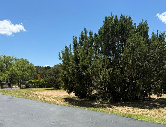 21 Sweenhart Dr, House other with 3 bedrooms, 2 bathrooms and null parking in Tijeras NM | Image 68