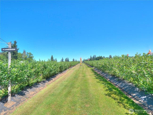 23206 Se 448 Th St, Home with 3 bedrooms, 3 bathrooms and 8 parking in Enumclaw WA | Image 27