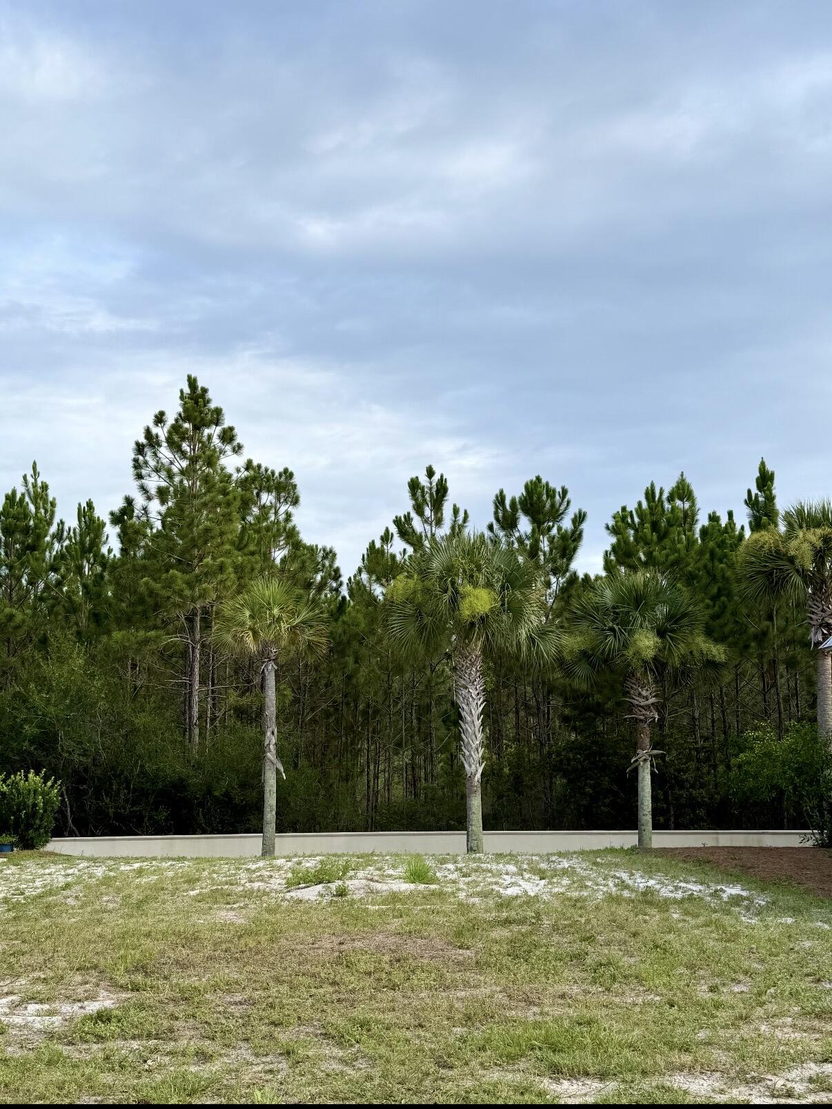 Land in Santa Rosa Beach 4