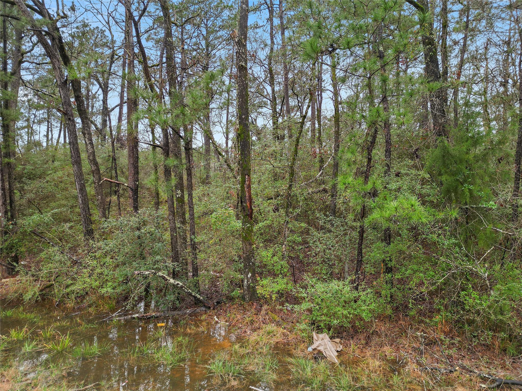 Land in Huntsville 5