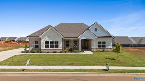 133 Brier View Dr, Meridianville, AL, 35759-1418 | Card Image