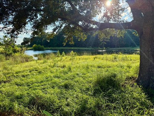TBD Lakeland Ranch Lot 277, Hillister, TX, 77624-9999 | Card Image