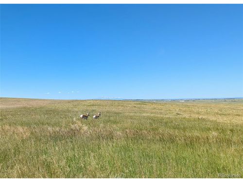 9 Quietude Ln, Kiowa, CO, 80117 | Card Image