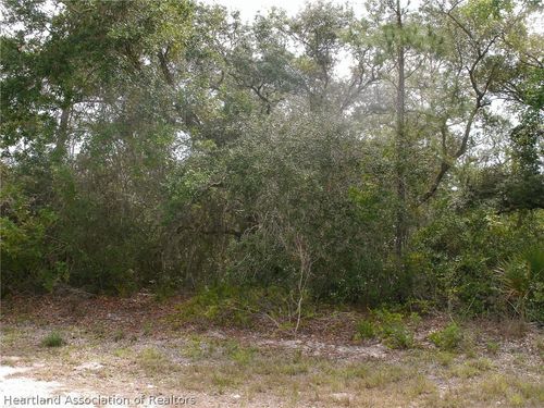 399 Imagination Dr, Lake Placid, FL, 33852 | Card Image