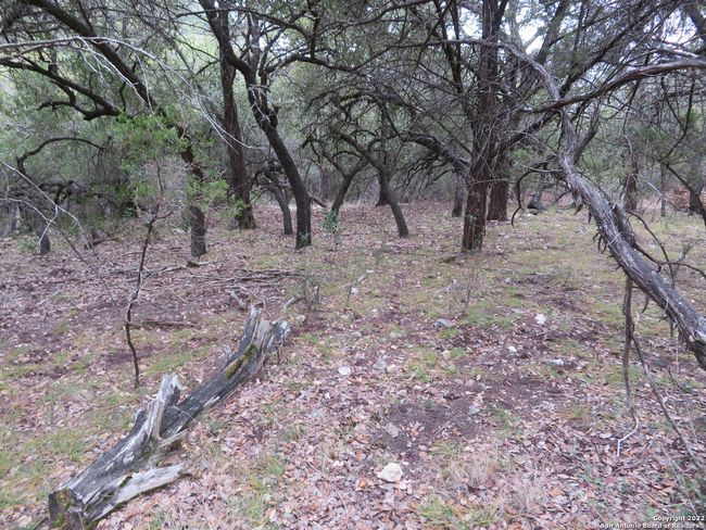 LOT 304-306 Deer Trl, Home with 0 bedrooms, 0 bathrooms and null parking in Pipe Creek TX | Image 4