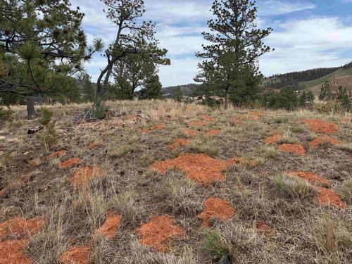 12707 Stardust, Hot Springs, SD, 57747 | Card Image