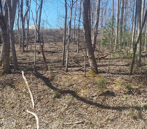 181 Oxbow Ave, Unicoi, TN, 37692 | Card Image