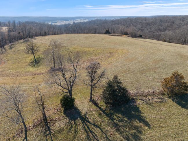 9_dji_20250128135358_0529_d_rem | Image 10