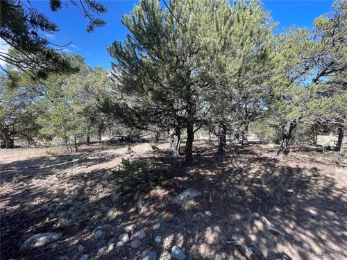 3545 Fallen Tree Pl, Crestone, CO, 81131 | Card Image