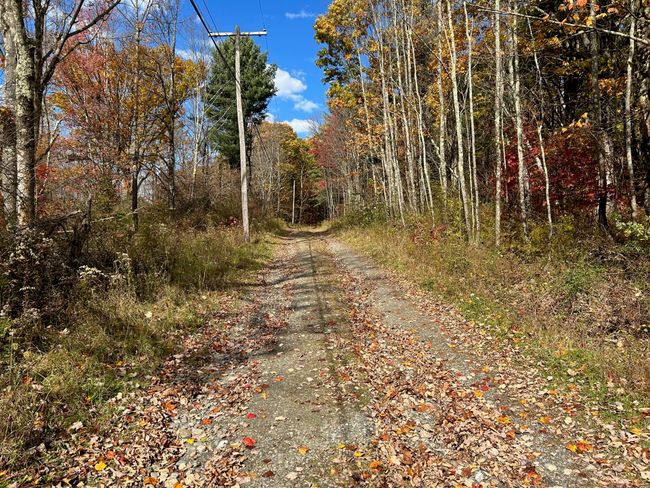 4 W Hill Rd, Home with 0 bedrooms, 0 bathrooms and null parking in Austerlitz NY | Image 6