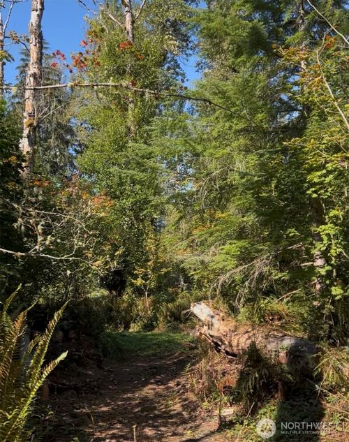 0 Cascade Lane, Eatonville, WA, 98328 | Card Image
