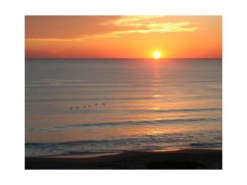 6-5050 Bayview Dr, Fort Lauderdale, FL, 33308-4313 | Card Image