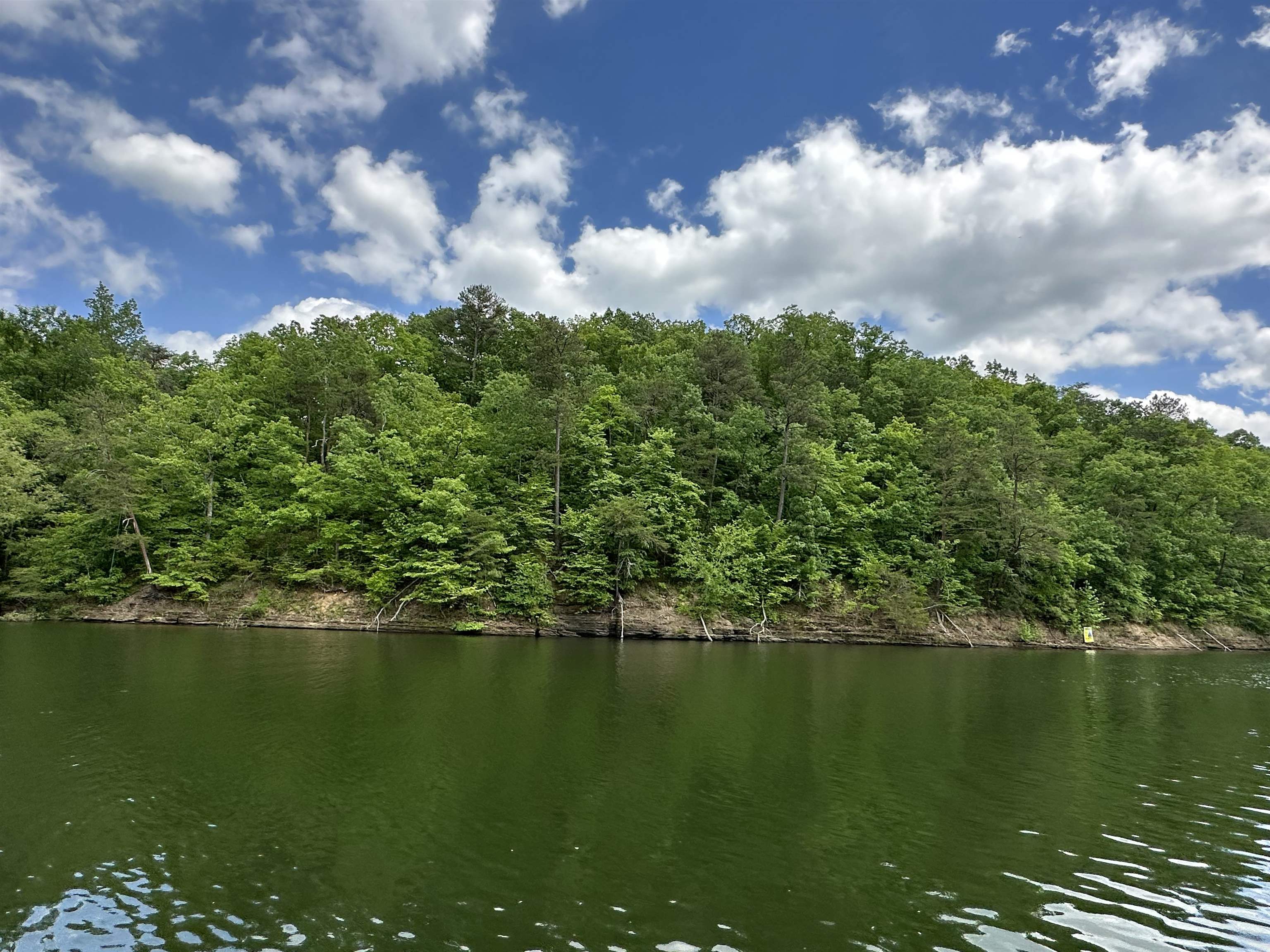 Land in Cullman 2