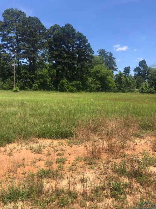 TBD Meadow Lane, Naples, TX, 75568 | Card Image