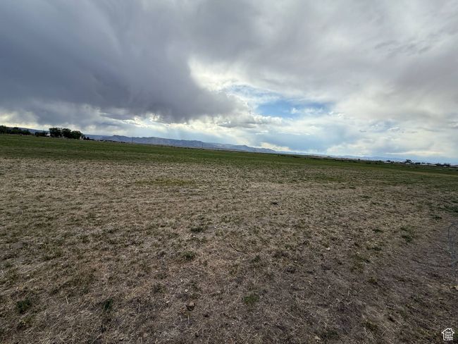 View of undeveloped land featuring rural landscape | Image 6