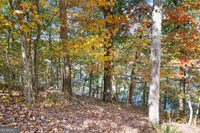 lot 2 Winterberry Lane, Home with 0 bedrooms, 0 bathrooms and null parking in Gainesville GA | Image 31