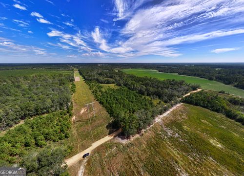 9.5 ACRES Danny Martin Rd, Cobbtown, GA, 30420 | Card Image