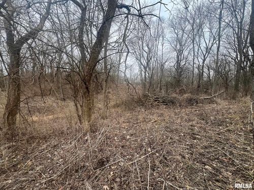 16657 Still Meadows St, Petersburg, IL, 62675-7300 | Card Image