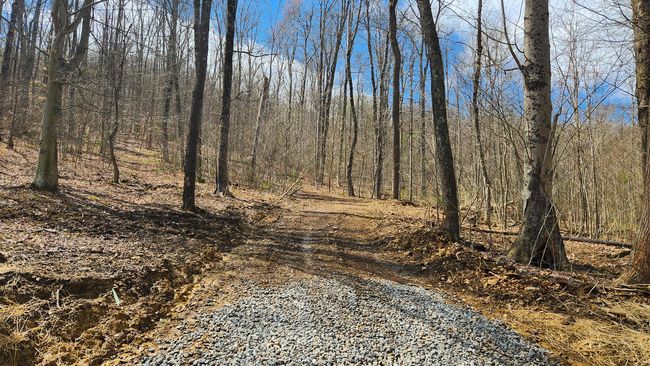 TRACT-1-PIKE-LAKE-GETAWA - 0 Pike Lake Rd, Home with 0 bedrooms, 0 bathrooms and null parking in Bainbridge OH | Image 13