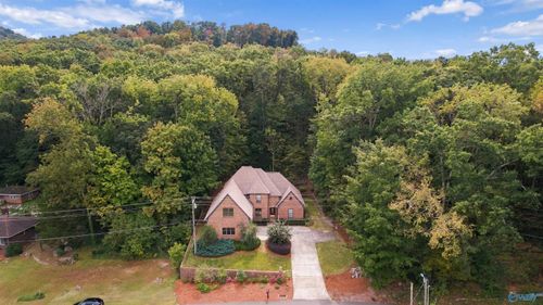 2017 Wyeth Drive, Guntersville, AL, 35976 | Card Image