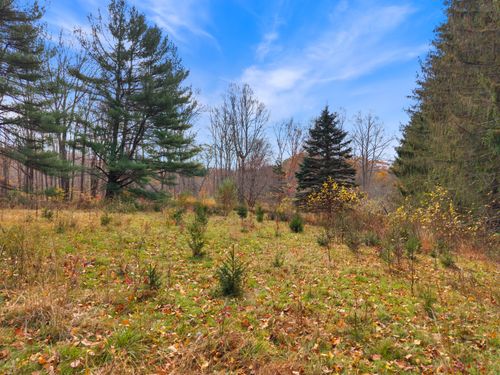 247 C Old Toll Rd, Madison, CT, 06443 | Card Image