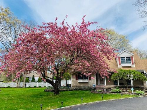 7 Quenzer St, Nesconset, NY, 11767-1967 | Card Image