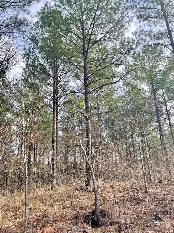 Land in Broken Bow 3