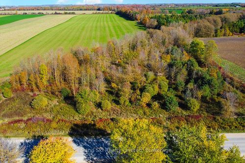 31313 Grey Rd 14, Conn, ON, N0G1N0 | Card Image