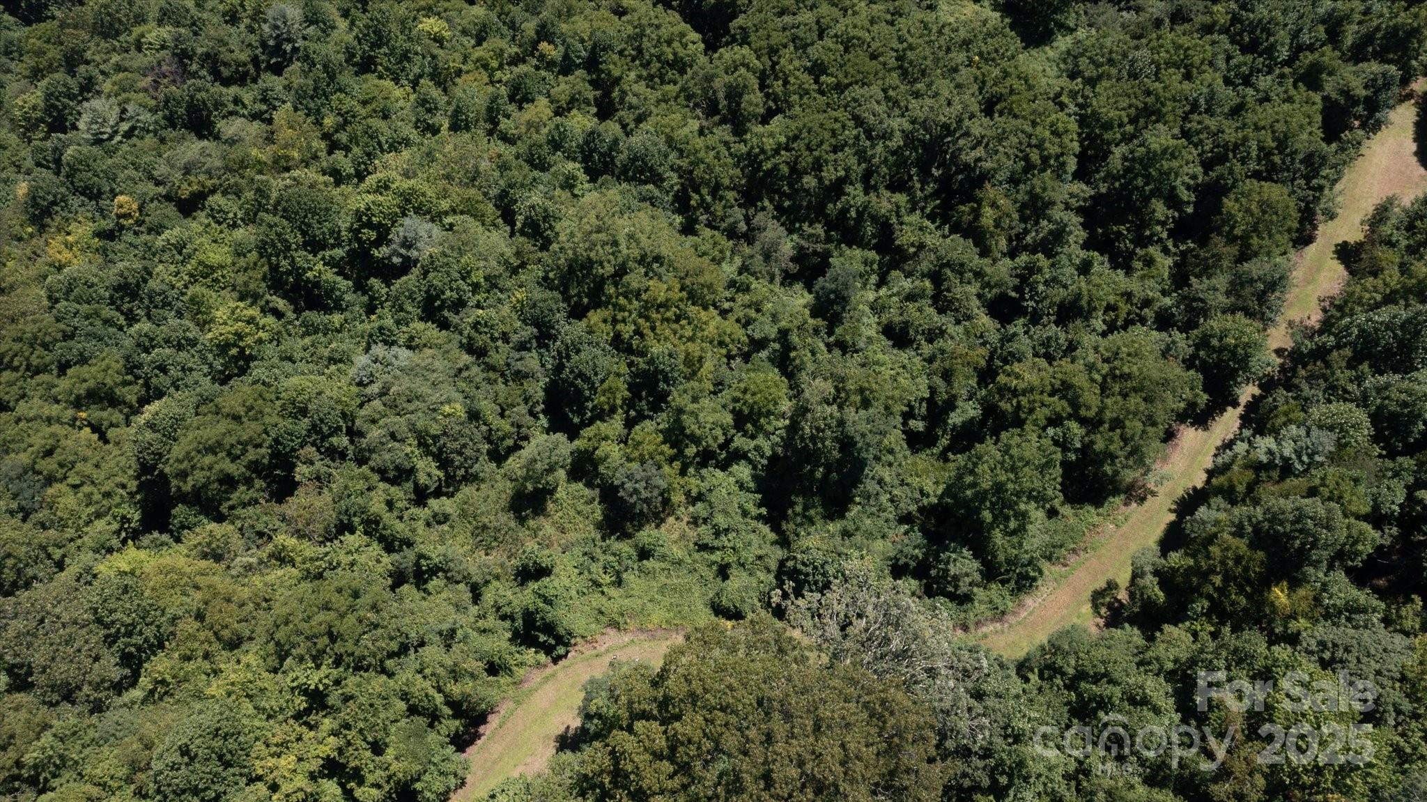 Land in Waynesville 3