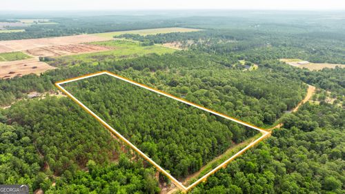 11.36 AC Brannon Montgomery Rd, Mauk, GA, 31058 | Card Image