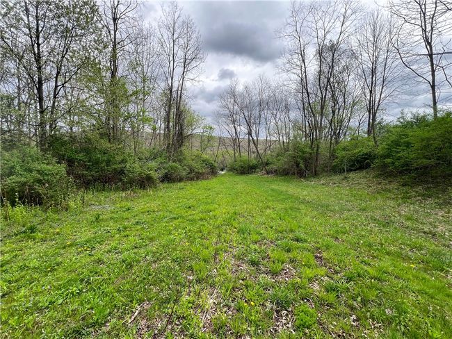 Clearings to build | Image 5
