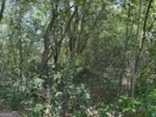 4505 Sylvester Rd, Home with 0 bedrooms, 0 bathrooms and null parking in Sylvester GA | Image 10