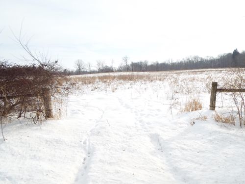 B Peacock Road, Leslie, MI, 49251 | Card Image