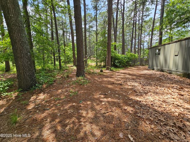 181 Joel Rd, Home with 0 bedrooms, 0 bathrooms and null parking in Carthage NC | Image 21