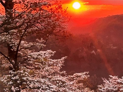 23796 Fr 1090, Washburn, MO, 65772 | Card Image