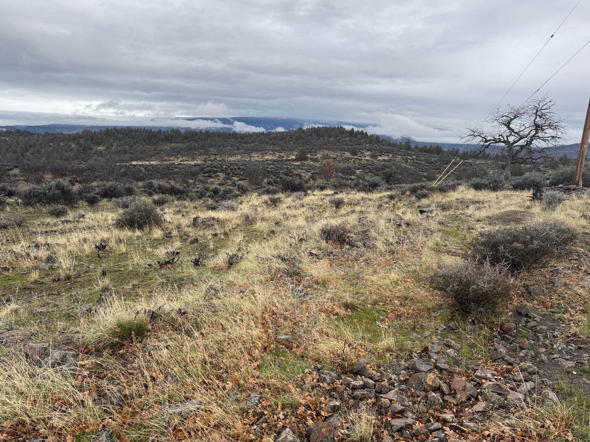 Land in Montague 5