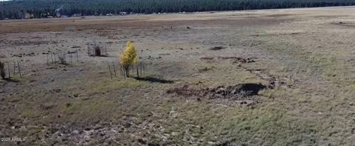 6-732 Lots A Luck Ln, Mormon Lake, AZ, 86038-9005 | Card Image