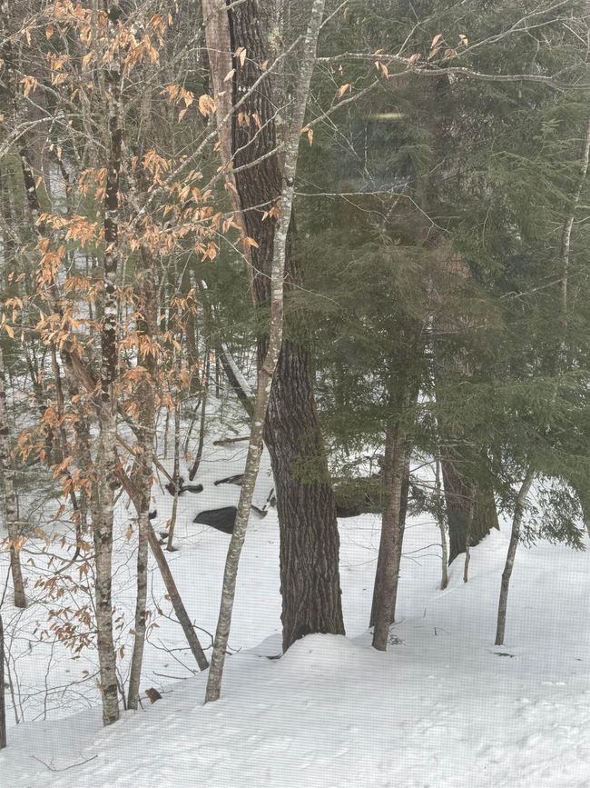 11 - 14 Streamside Rd, Condo with 2 bedrooms, 2 bathrooms and null parking in Campton NH | Image 5