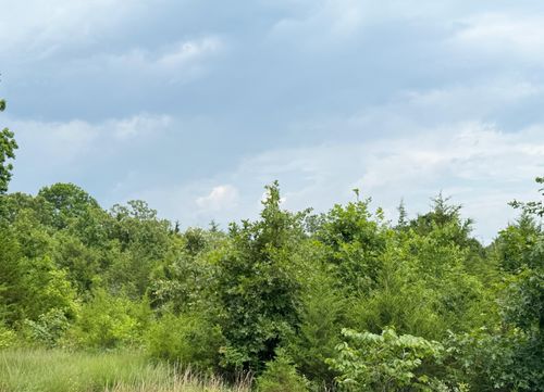 17320 Solo Rd Road, Houston, MO, 65483 | Card Image