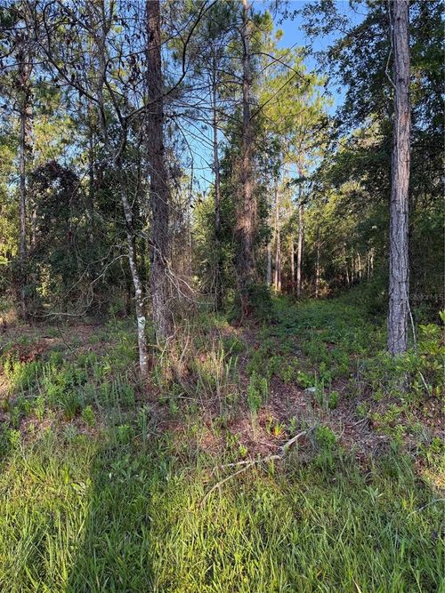 2366 Dogwood St, BUNNELL, FL, 32110 | Card Image