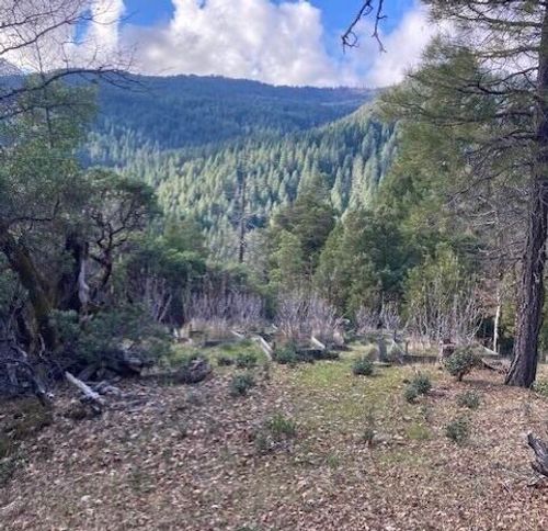 6275 Van Duzen Rd, Mad River, CA, 95526 | Card Image