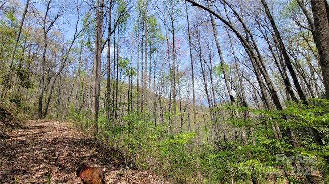 27 - 27 Lacy Fern Rdg, Home with 0 bedrooms, 0 bathrooms and null parking in Sylva NC | Image 15