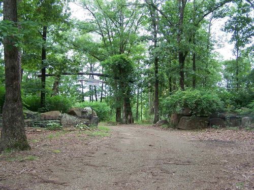 1307 Dodd Mountain Rd, Shirley, AR, 72153-8123 | Card Image