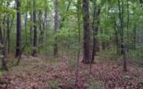 00 Lady Ln, Murphy, NC, 28906 | Card Image