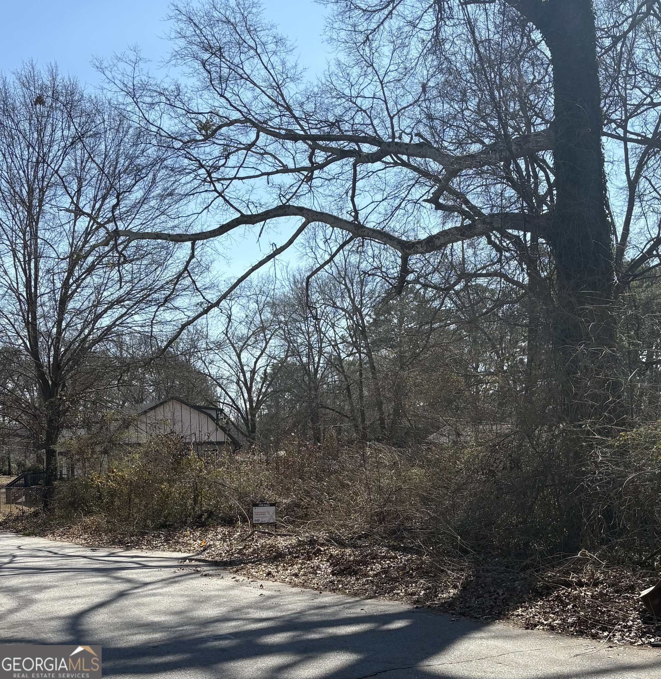 Land in Atlanta 4