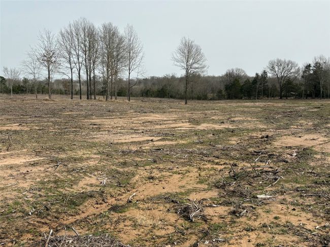 TRACT-2 - TBD County Road 2425, Home with 0 bedrooms, 0 bathrooms and null parking in Como TX | Image 8