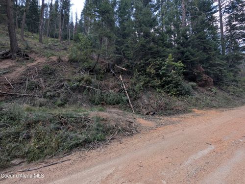 NNA 20.02a Daisy Gulch Rd, Mullan, ID, 83846 | Card Image