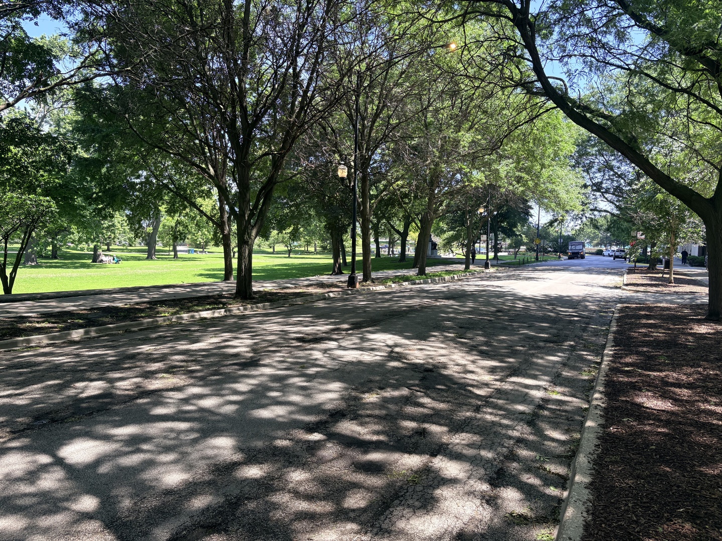 Residential in Chicago 2